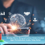 Strategi-Bisnis-Mengoptimalkan-Sistem-Kontrol-Agar-Pertumbuhan-Usaha-Tetap-Sehat